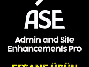 ASE Admin and Site Enhancements Pro Kurulumu