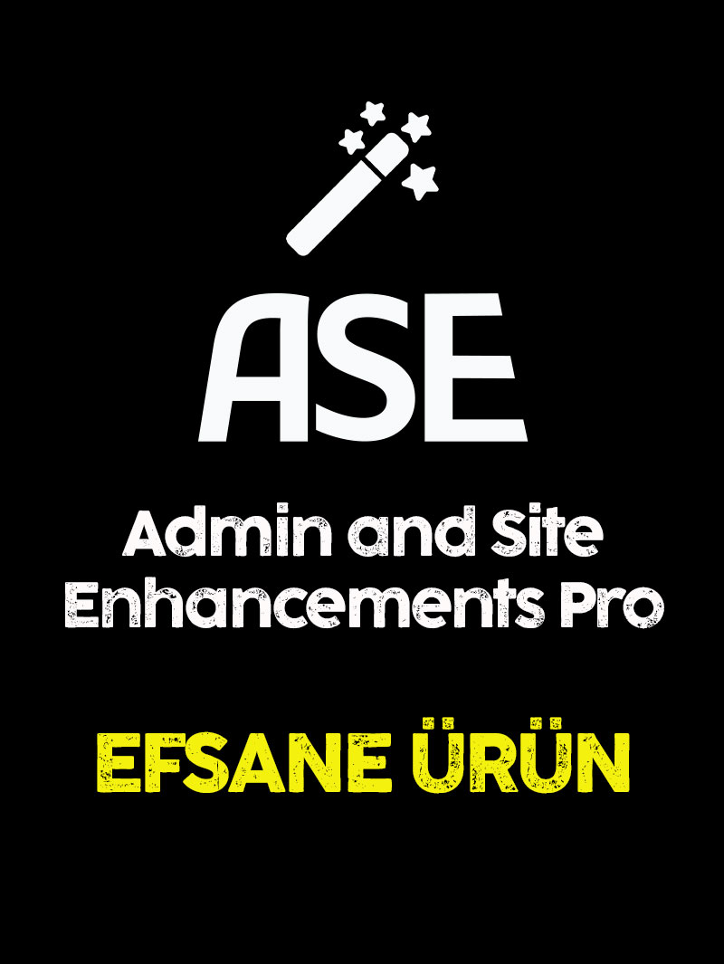 ASE Admin and Site Enhancements Pro Kurulumu