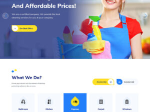 Cleener Temizlik Şirketi Teması