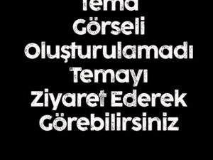 Cvio Kişisel Site Teması