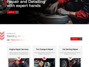 Ducatibox Oto Servis Teması