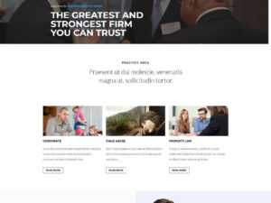 Hakim Hukuk Bürosu Teması