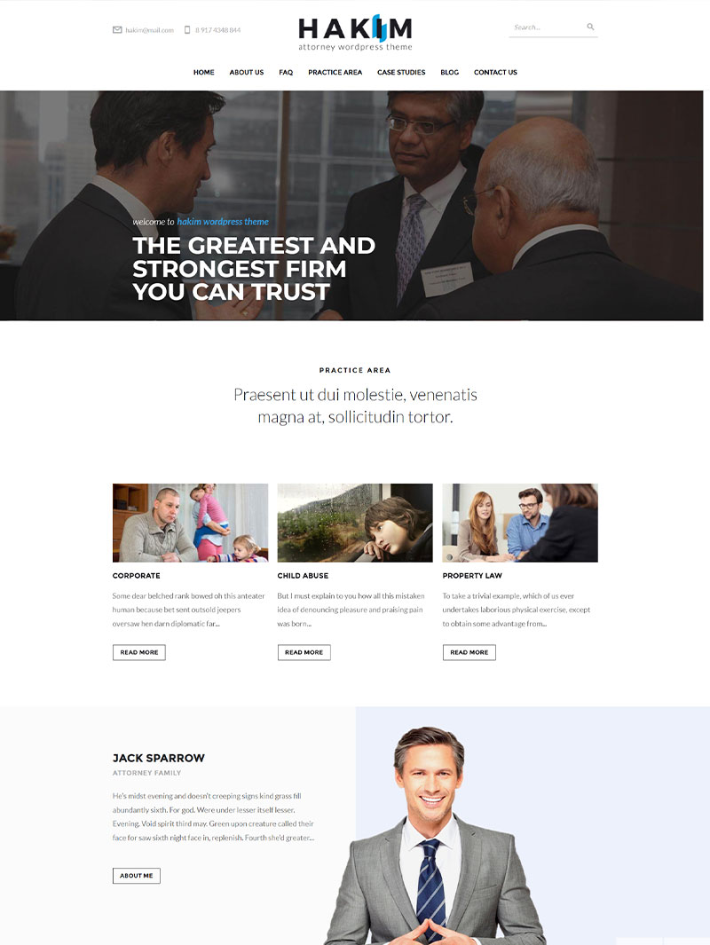 Hakim Hukuk Bürosu Teması