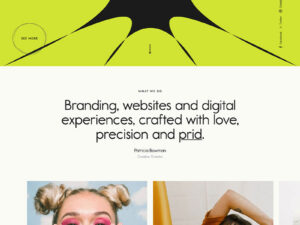 Lione Portfolyo Teması