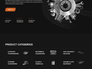 ProMotors Oto Servis Teması