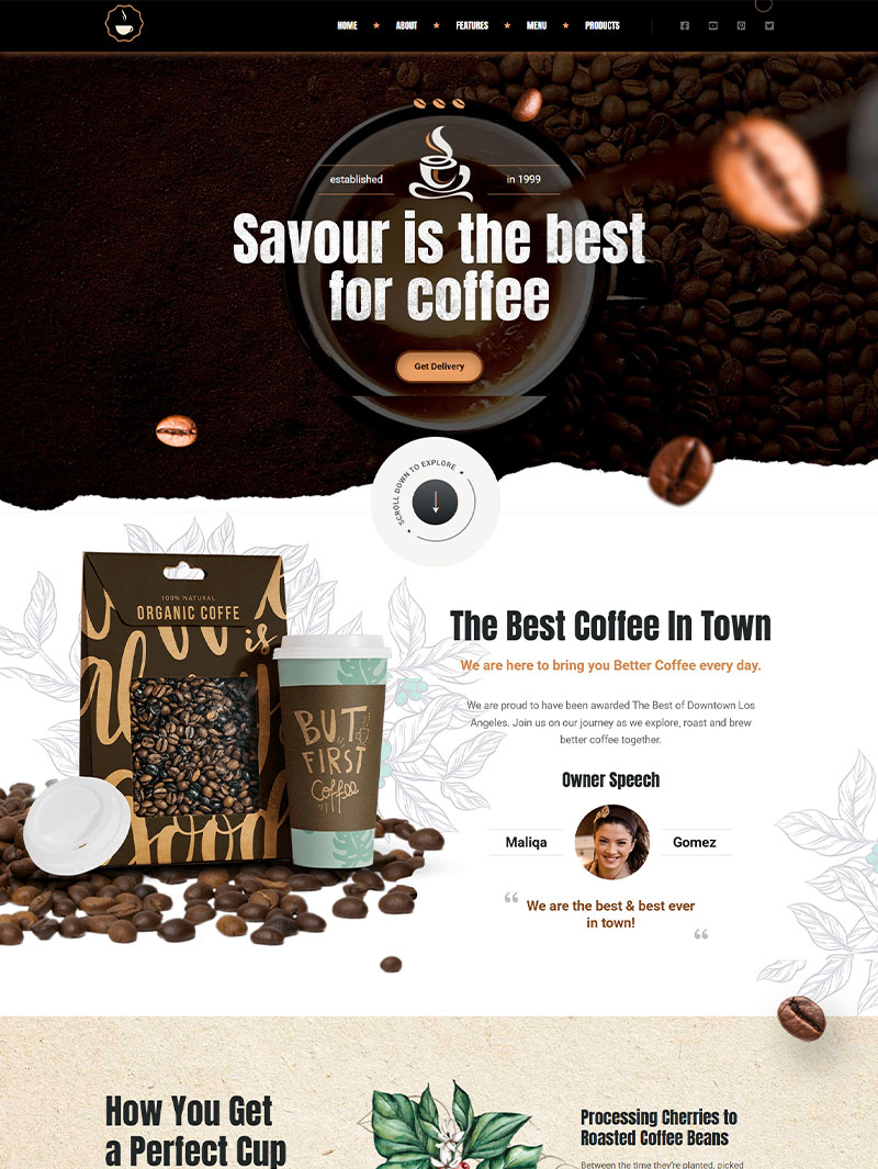 Savour Cafe-Restaurant Teması