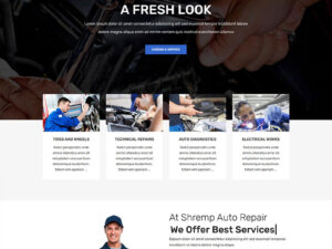 Schremp Oto Servis Teması