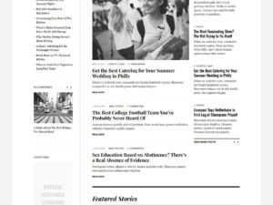 The-Newspaper Blog Teması